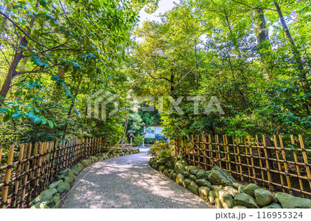 日本の寒川都市景観　相模國一之宮 寒川神社。緑が多い＝令和6年7月21日 116955324