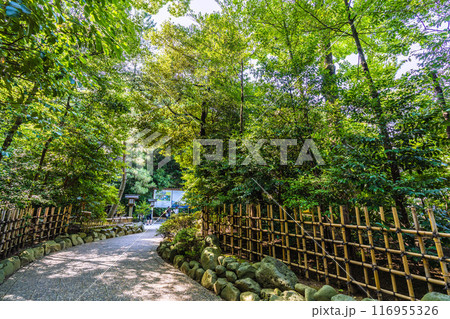 日本の寒川都市景観　相模國一之宮 寒川神社。緑が多い＝令和6年7月21日 116955326