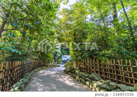 日本の寒川都市景観　相模國一之宮 寒川神社。緑が多い＝令和6年7月21日 116955330