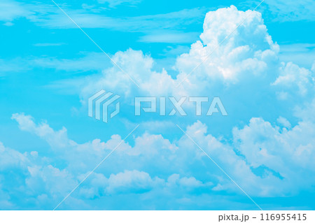 夏の青空と白い積乱雲 a-3 ライトカラー 夏の青空と白い積乱雲 a-3 ライトカラー 116955415