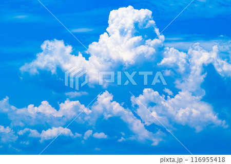 夏の青空と白い積乱雲 b-2 高彩度コントラスト 夏の青空と白い積乱雲 b-2 高彩度コントラスト 116955418
