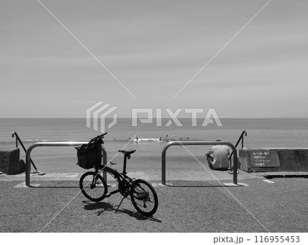 サーファー 116955453