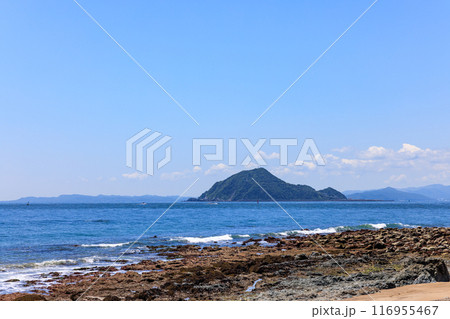 伊良湖岬遊歩道から見た神島 愛知県田原市 伊良湖岬遊歩道から見た神島 愛知県田原市 116955467