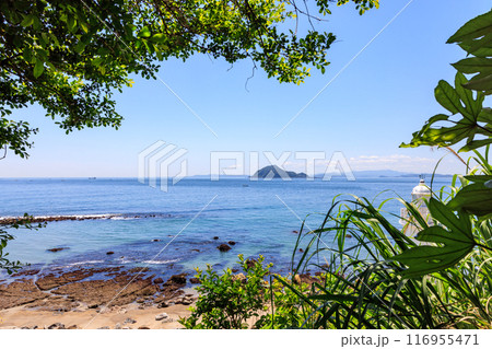 伊良湖岬遊歩道から見た神島　愛知県田原市 116955471