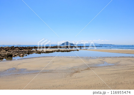 伊良湖岬遊歩道から見た神島　愛知県田原市 116955474