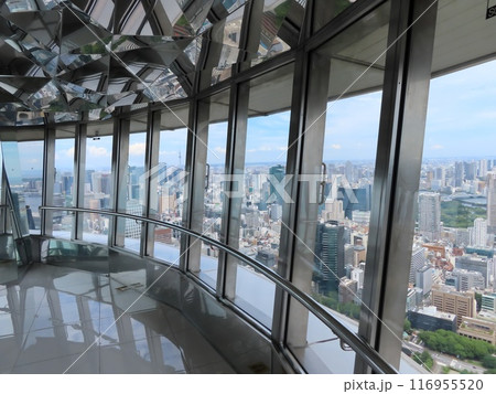 観光名称・東京タワーのトップデッキ 観光名称・東京タワーのトップデッキ 116955520