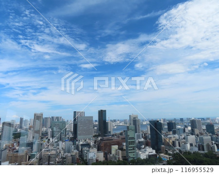 観光名称・東京タワーのメインデッキから望む風景 観光名称・東京タワーのメインデッキから望む風景 116955529