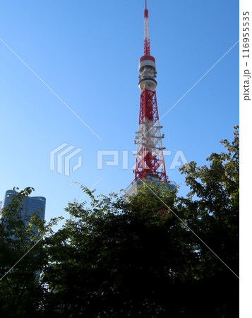 プリンス芝公園から東京タワーを望む プリンス芝公園から東京タワーを望む 116955535