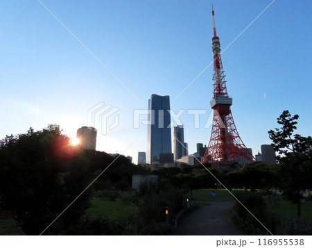 プリンス芝公園から東京タワーを望む 116955538