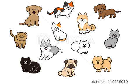 犬と猫のイラストセット（ベクターイラスト） 116956019