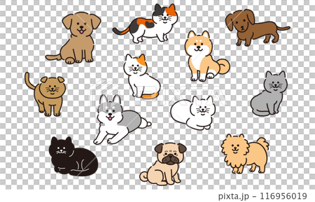 犬と猫のイラストセット（ベクターイラスト） 116956019