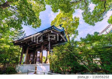 日本の寒川都市景観　相模國一之宮 寒川神社。緑が多い＝令和6年7月21日 116956202