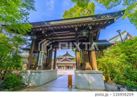 日本の寒川都市景観　相模國一之宮 寒川神社。緑が多い＝令和6年7月21日 116956204