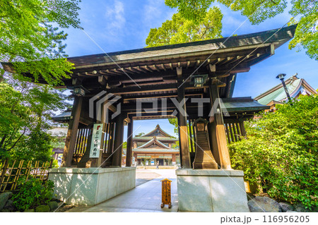 日本の寒川都市景観　相模國一之宮 寒川神社。緑が多い＝令和6年7月21日 116956205