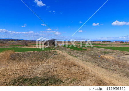 広大な葦原と雄大な富士山と一本道。埼玉県熊谷市荒川河川敷-2024年3月 116956522