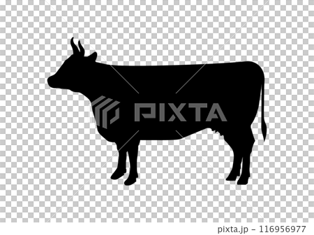 和牛牛肉剪影 和牛牛肉剪影 116956977