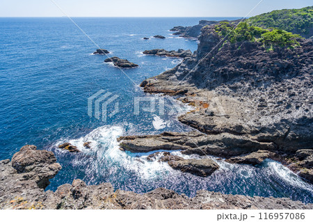 石廊崎　伊豆半島の最南端　絶景岬　壮大な太平洋のパノラマ 116957086