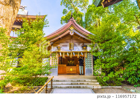 日本の寒川都市景観　相模國一之宮 寒川神社・納札殿　おふだ納め所。緑が多い＝令和6年7月21日 116957172