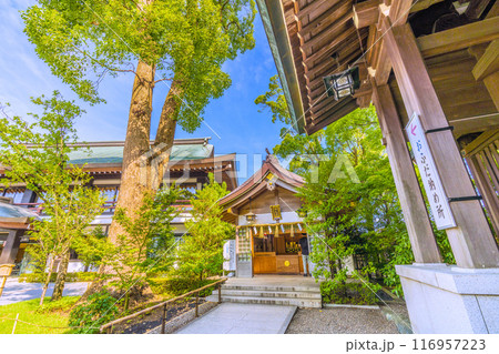 日本の寒川都市景観　相模國一之宮 寒川神社・納札殿　おふだ納め所。緑が多い＝令和6年7月21日 116957223