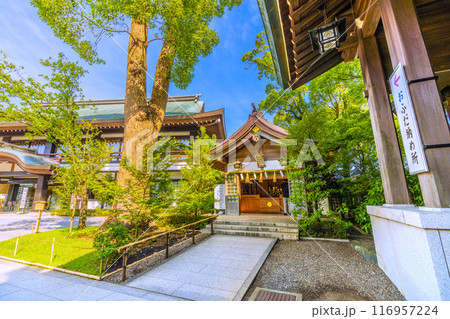 日本の寒川都市景観　相模國一之宮 寒川神社・納札殿　おふだ納め所。緑が多い＝令和6年7月21日 116957224