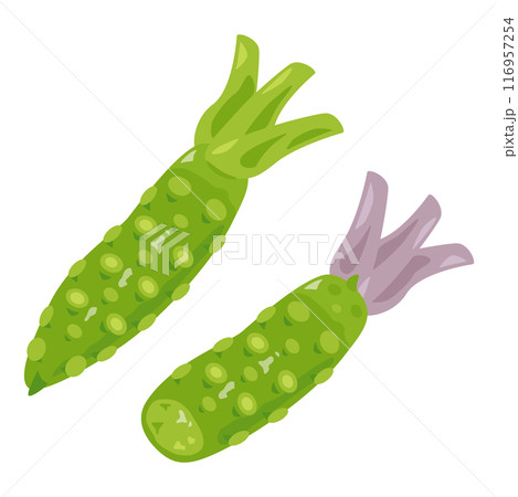 生わさびセット 116957254