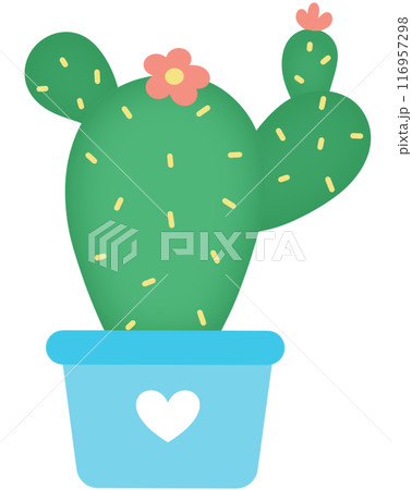 Cactus  116957298