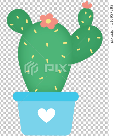 Cactus  116957298