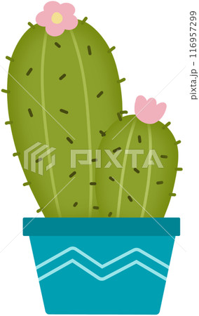 Cactus  116957299