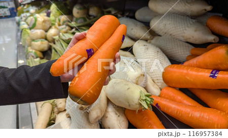 Close-up of a hand holding carrot with a heap of ripe and red carrots as background. selective focus. 116957384