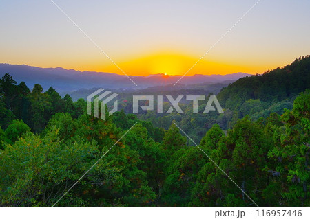 深緑の谷間に囲まれた晩秋の房総丘陵に沈む夕陽の風景　Ver1 116957446