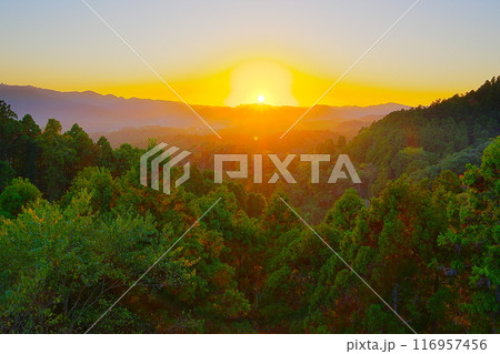 深緑の谷間に囲まれた晩秋の房総丘陵に沈む夕陽の風景 Ver5 深緑の谷間に囲まれた晩秋の房総丘陵に沈む夕陽の風景 Ver5 116957456
