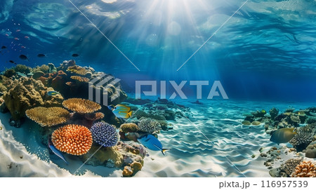 A vibrant, sunlit beach viewed from underwater, highlighting colorful coral reefs and various swimming fish. A vibrant, sunlit beach viewed from underwater, highlighting colorful coral reefs and various swimming fish. 116957539