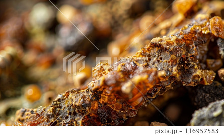 Close-up of raw bee propolis reveals its rich hues, rugged texture, and intricate natural beauty. 116957583