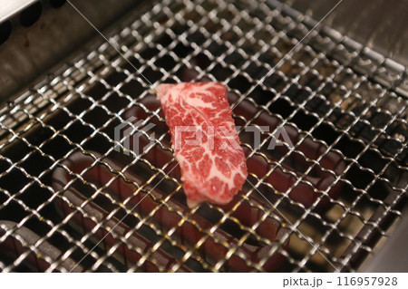 月 ルナ お月様 116957928