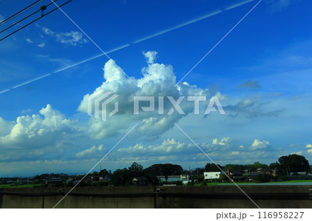新幹線の窓から見た　真夏の青空《埼玉県》 116958227