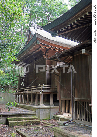 馬場氷川神社（新座） 116958316
