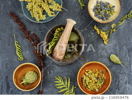 Medicinal herbs, alternative medicine. Medicinal herbs, alternative medicine. 116958476