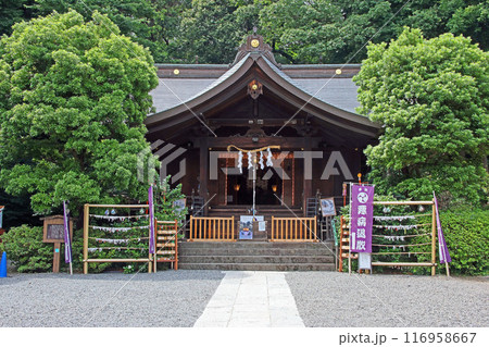 武州白子熊野神社（和光） 116958667
