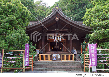 武州白子熊野神社（和光） 116958670