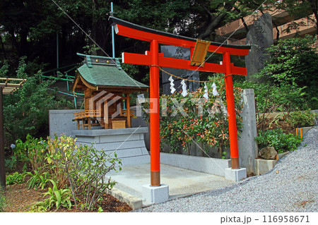 武州白子熊野神社（和光） 116958671