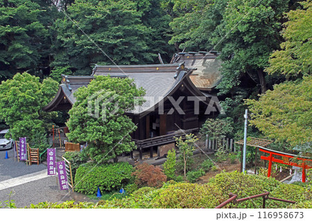 武州白子熊野神社(和光) 武州白子熊野神社(和光) 116958673