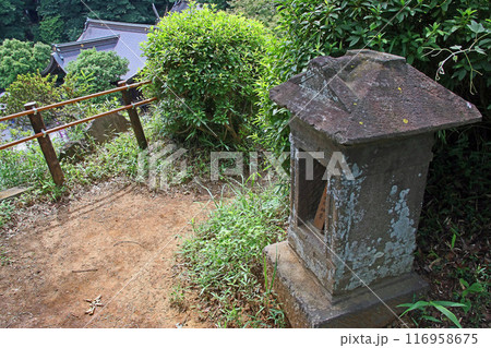 武州白子熊野神社(和光) 武州白子熊野神社(和光) 116958675