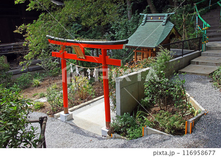 武州白子熊野神社（和光） 116958677