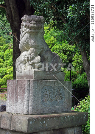 武州白子熊野神社(和光) 武州白子熊野神社(和光) 116958731