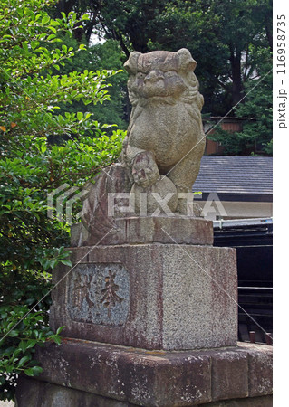 武州白子熊野神社(和光) 武州白子熊野神社(和光) 116958735