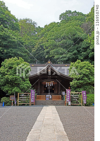 武州白子熊野神社(和光) 武州白子熊野神社(和光) 116958740