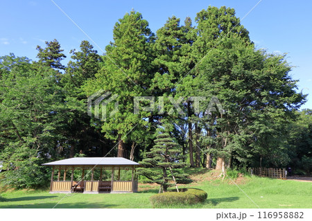 緑の広がる史跡根城の広場　四阿《青森県》 116958882