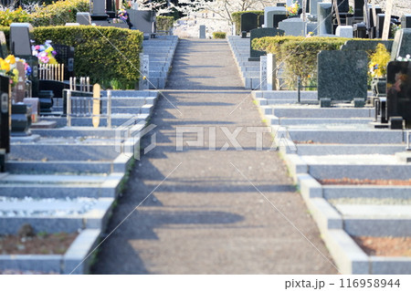 桜が咲く霊園 116958944