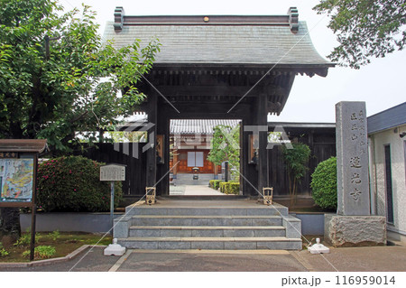 蓮光寺（新座） 116959014