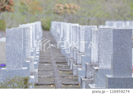 お墓の墓石 お墓の墓石 116959274